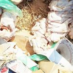 Ouagadougou: La Police saisit 450 carcasses de poulet de chair à Saaba