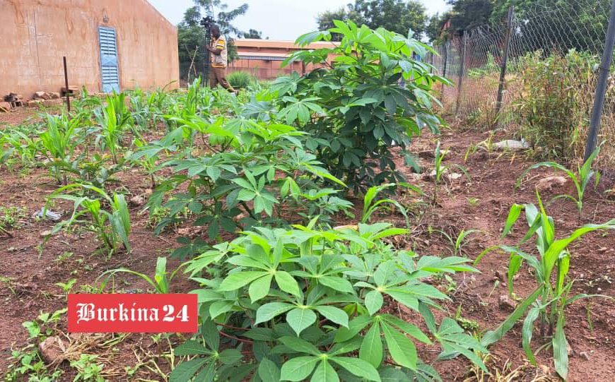 autosuffisance alimentaire au Burkina Faso