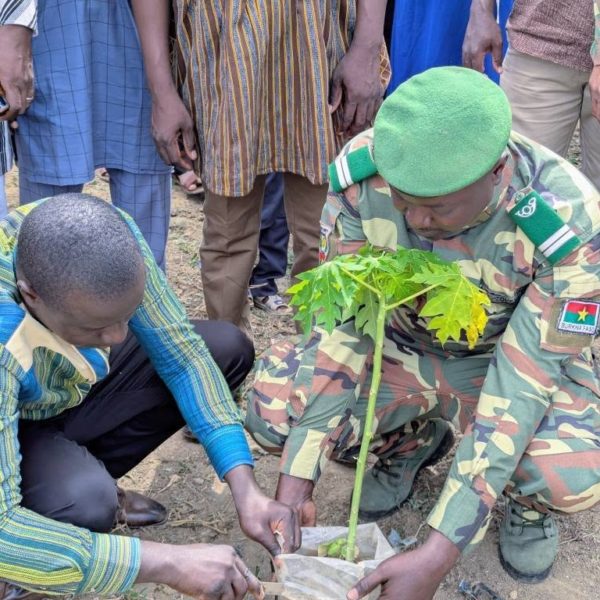 formation en production de plants