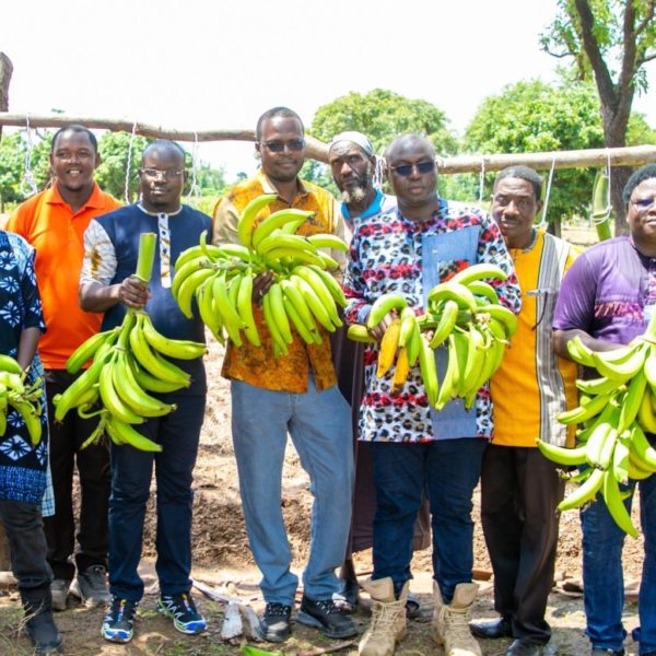 agriculture, autosuffisance alimentaire, banane plantain, Hauts-Bassins, production locale, Burkina Faso, Initiative présidentielle, sécurité alimentaire
