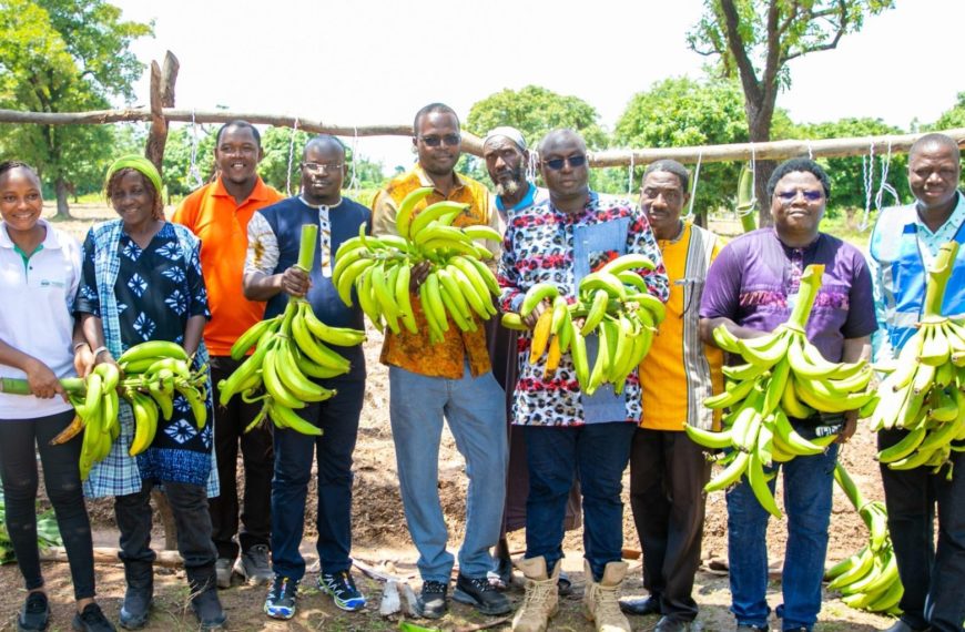 agriculture, autosuffisance alimentaire, banane plantain, Hauts-Bassins, production locale, Burkina Faso, Initiative présidentielle, sécurité alimentaire