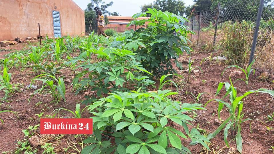 autosuffisance alimentaire au Burkina Faso